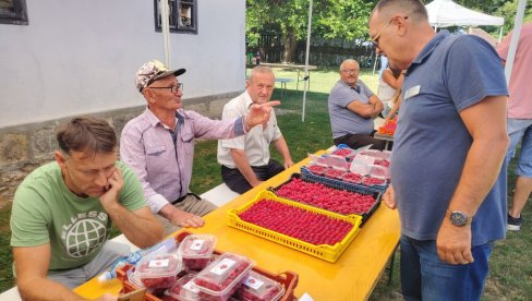 SUŠA OBRALA MALINU: Skroman ovogodišnji rod “crvenog zlata” u valjevskom kraju SUŠA OBRALA MALINU: Skroman ovogodišnji rod “crvenog zlata” u valjevskom kraju