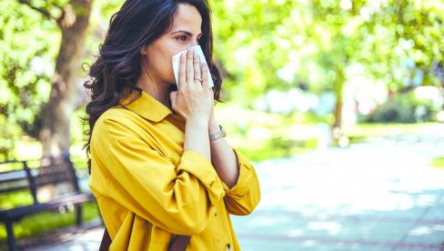 I POLEN IZAZIVA SINUZITIS: Kad muče alergije, mora se potražiti pomoć lekara I POLEN IZAZIVA SINUZITIS: Kad muče alergije, mora se potražiti pomoć lekara