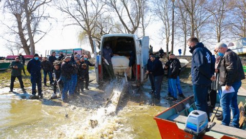 ПОРИБЉАВАЊЕ НА ВОДАМА ВОЈВОДИНЕ: У Дунав пуштено 800 килограма млађи шарана