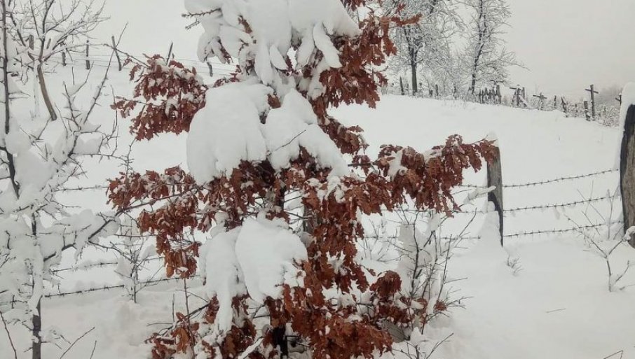 LEPOTA I MUKA NA SVE STRANE Zimska Idila U Azbukovici Zavejao Sneg