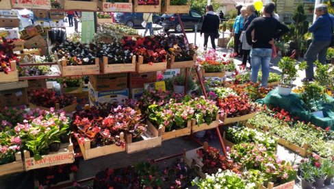 НАЈАВА ЗА ВИКЕНД: Фестивал цвећа на Тргу ослобођења