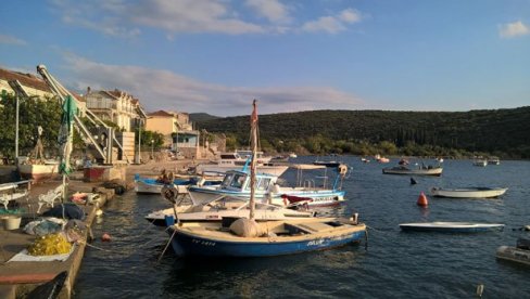 PRELEP PRIZOR U BOKI: Morsko stvorenje obradovalo meštane i turiste (VIDEO)