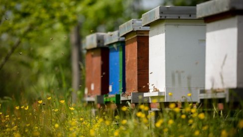 DODELA UGOVORA POKRAJINSKIM POLJOPRIVREDNICIMA: Pčelarima 350.000 dinara