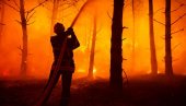 ВАТРОГАСЦИ СЕ ИЗБОРИЛИ СА ВАТРЕНОМ СТХИЈОМ: Локализовани пожари на Дивчибарама,код Неготина и Краљева