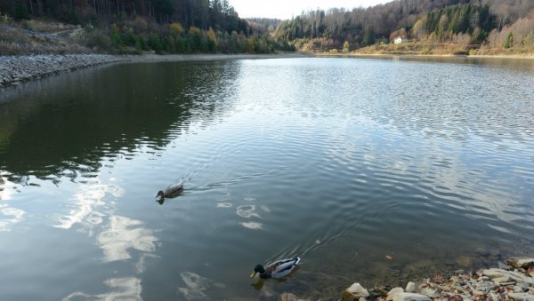 ОАЗА ЉУБИТЕЉИМА ПРИРОДЕ: И током јесени планина Гоч атрактивна посетиоцима (ФОТО)