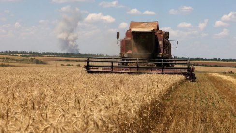 RATARI U SRPSKOJ  ZADOVOLJNI CENOM: Rod bolji nego prošlogodišnji i ide do šest tona hlebnog žita po hektaru