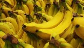 ZAPLENJENO 9,5 TONA KOKAINA SKRIVENOG U BANANAMA Vrednost droge 250 miliona dolara