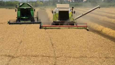 KAZAHSTAN PRODUŽAVA ZABRANU UVOZA PŠENICE: I dalje postoji opasnost od primene sivih šema