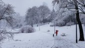 OVOG DATUMA STIŽE NOVA TURA SNEGA I JAKO ZAHLAĐENJE Meteorolog: Moguće da se bečka vrata ponovo otvore