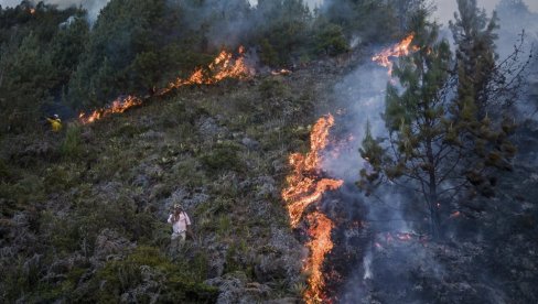 POŽAR U NACIONALNOM PARKU „ŠAR-PLANINA“: Vatra se proširila na četinarsku šumu (VIDEO)