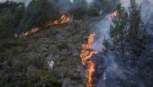 POŽAR U NACIONALNOM PARKU „ŠAR-PLANINA“: Vatra se proširila na četinarsku šumu (VIDEO)