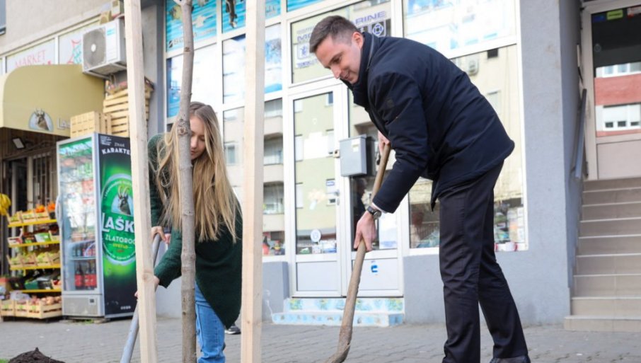 DRVO KESTENA U ČAST DANILA KIŠA : Lep gest povodom dana rođenja velikog pisca