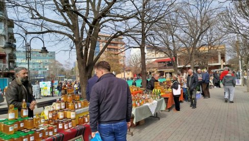 POČELO PRIJAVLJIVANJE ZA SAJAM MEDA: Društvo „Grza“ poziva pčelare u Paraćin