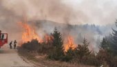 VATRENA STIHIJA GUTA SVE PRED SOBOM: Veliki šumski požar kod Kučeva (VIDEO)