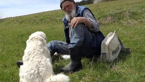 UPOZNAJTE NEDA (91), NAJSTARIJEG OVČARA U BOSNI: Ima i ozbiljne planove za budućnost (VIDEO)