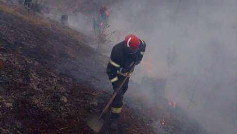 BUKTE ŠUMSKI POŽARI: Vatra se širi u Kušadasiju, Izmiru i provinciji Čankale