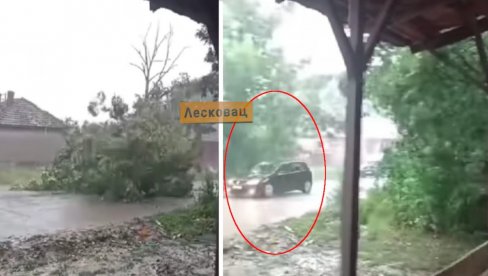 DA ZAPALI SVEĆU Neverovatan snimak nevremena - vozio auto, a drvo baš tad palo (VIDEO)