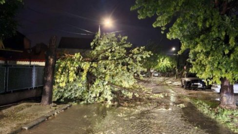 OLUJNO NEVREME ZAHVATILO ZVORNIK: Pričinjena šteta u poljoprivredi, na kućama