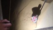 OKONČANA AKCIJA SPASAVANJA U SURČINU: Muškarac izvučen iz jame duboke devet metara (FOTO)