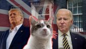DOČEKIVAO I TRAMPA I BAJDENA: Premijeri odlaze, Lari ostaje - popularni mačak dočekao šestog britanskog šefa vlade (FOTO)