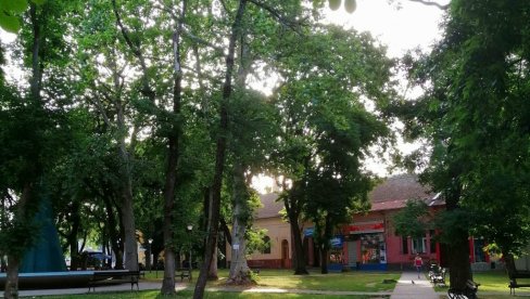 ROVOVSKA BITKA ZA SVAKO DRVO: Organizovani otpor sugrađana zakočio seču stabala, uoči najavljene obnove velikog parka u Kuli