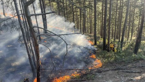 POŽAR ZAHVATIO PODRUČJE NACIONALNOG PARKA SUTJESKA: Sprečeno širenje na visoku šumu