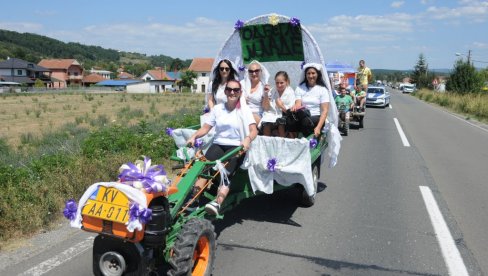 I „ODBEGLE MLADE“ ZA FREZOM: U Progorelici kod Kraljeva održan jubilarni skup ljubitelja motokultivatora