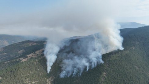 GORI 50 HEKTARA ŠUME: Bukte dva požara u kraljevačkom kraju