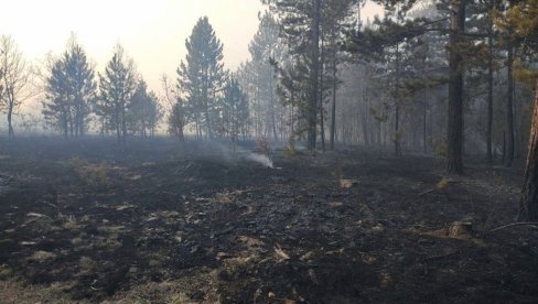 ОПУСТОШЕНО 170 ХЕКТАРА: Трећи дан букте пожари повише Ушћа и Богутовца у Ибарској клисури