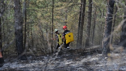 LOKALIZOVAN POŽAR NA ŽARAČKOJ PLANINI   Vatrogasci dežuraju iznad Ušća