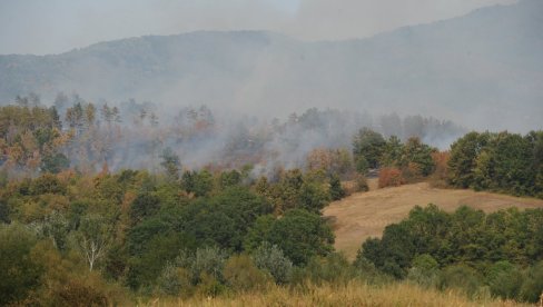 DOMAĆINSTVA NISU UGROŽENA: Požar u selu Petropolje kod Kraljeva (FOTO)