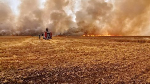 НА ДЕСЕТИНЕ ПОЖАРА У ПОЉУ: Ватрогасне екипе даноноћно на терену