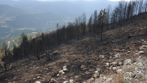 OPUSTOŠENO 300 HEKTARA: Ugašen požar na planini Troglav poviše Bogutovca