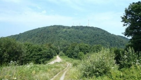 JAVNA RASPRAVA O ZAŠTITI PLANINE RUDNIK U KRAGUJEVCU : Rudnik će biti deo ekološke mreže Natura 2000