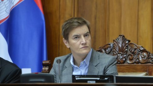 DUPLI STANDARDI U PUNOM SVETLU Brnabić: Kad se ekološki aktivisti privode u Eu to je vladavina prava, a u Srbiji je to diktatura (FOTO)