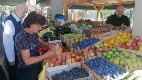 PRIPREMA ZIMNICE U TOKU, TRGOVCI TRLJAJU RUKE: Dobra ponuda na zelenjaku u Vršcu, a cene uglavnom niže nego u marketima