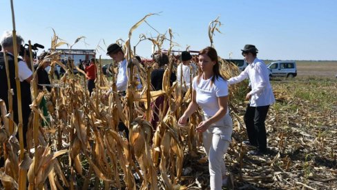 UČESTVOVALI I MAĐARI I RUMUNI: U selu Torda u Banatu održan Festival kukuruza (FOTO)