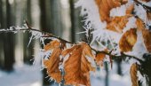 JUTRO HLADNO, TOKOM DANA PRETEŽNO SUNČANO: Ponegde sa slabim mrazom i maglom