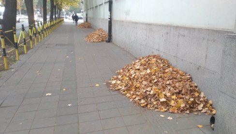 JESENJI RADOVI: U toku uređenje centra Požarevca