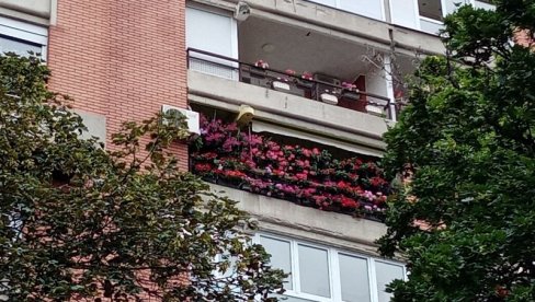 NAJLEPŠI BALKON U BULEVARU: Proglašeni pobednici u tradicionalnoj akciji Za zeleniji Beograd