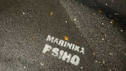 MARINIKA PSIHO: Beogradske ulice išarane grafitima posvećenim Tepićevoj - glas naroda ponovo našao put (FOTO)