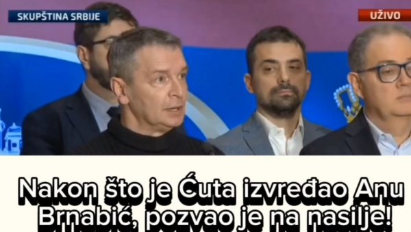 ЋУТА ИЗВРЕЂАО АНУ БРНАБИЋ, ПА ПОЗВАО НА НАСИЉЕ: Пошто немамо већину идемо на улицу! (ВИДЕО)