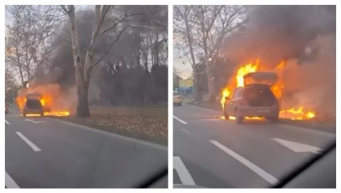 IZGOREO AUTOMOBIL: Požar na batajničkom putu (VIDEO)