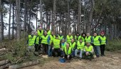 POŠUMLJAVALI RUSKO GROBLJE: Zasadili 25 sadnica belog bora