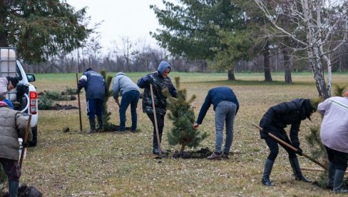 U BAŠAIDU ĆE BITI ZASAĐENO 200 SADNICA: Planirano ozelenjavanje sela na više lokacija (FOTO)