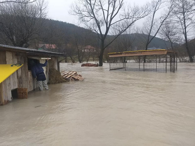 ICEPI GI RADNIČKI: Konačno, Real sa Nišave upisao pobedu u Superligi, i to  kakvu